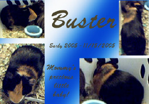 Buster