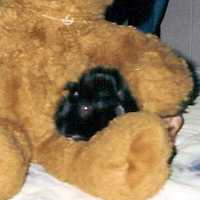General sitting on his giant Teddy Bear!