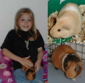 Mandy, Noodles and Whiskers