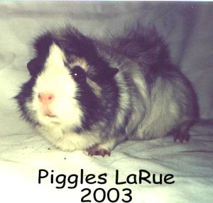 Piggles LaRue